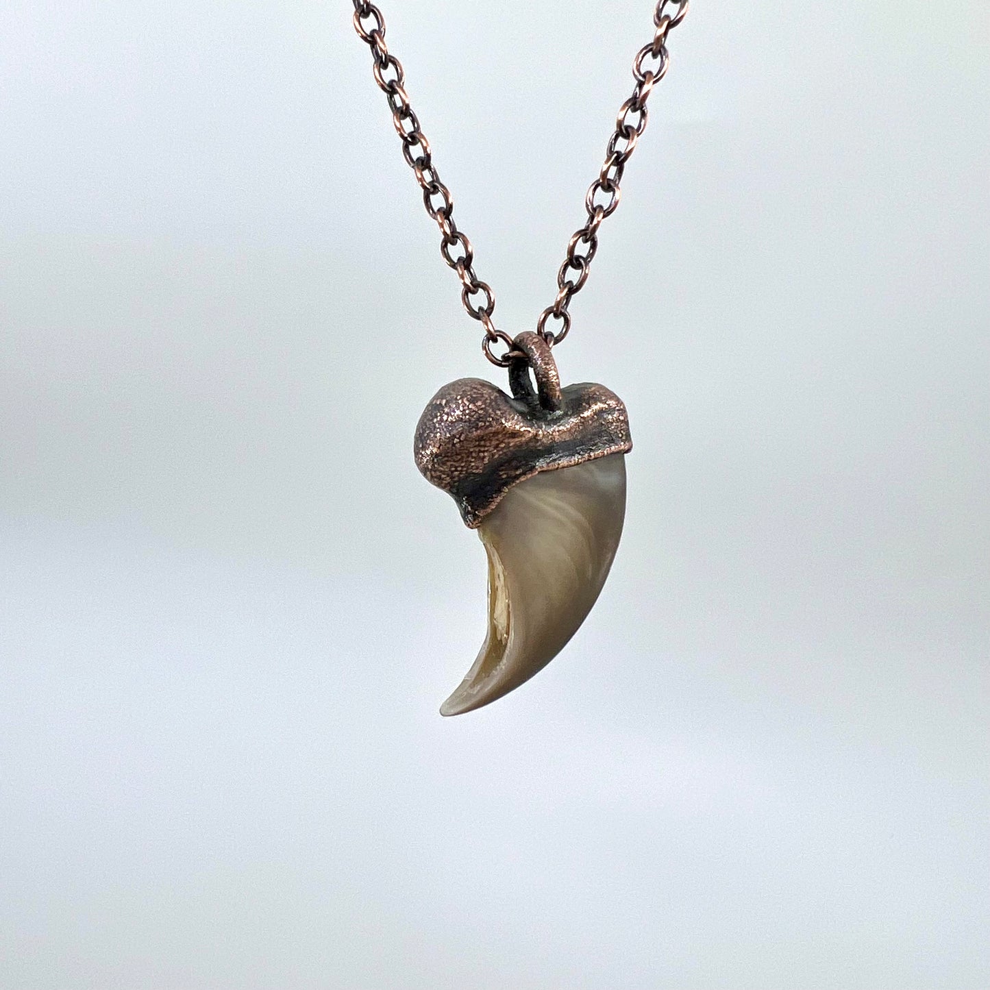 Black Bear Claw Necklace, Small Rear Claw - Copper Electroformed