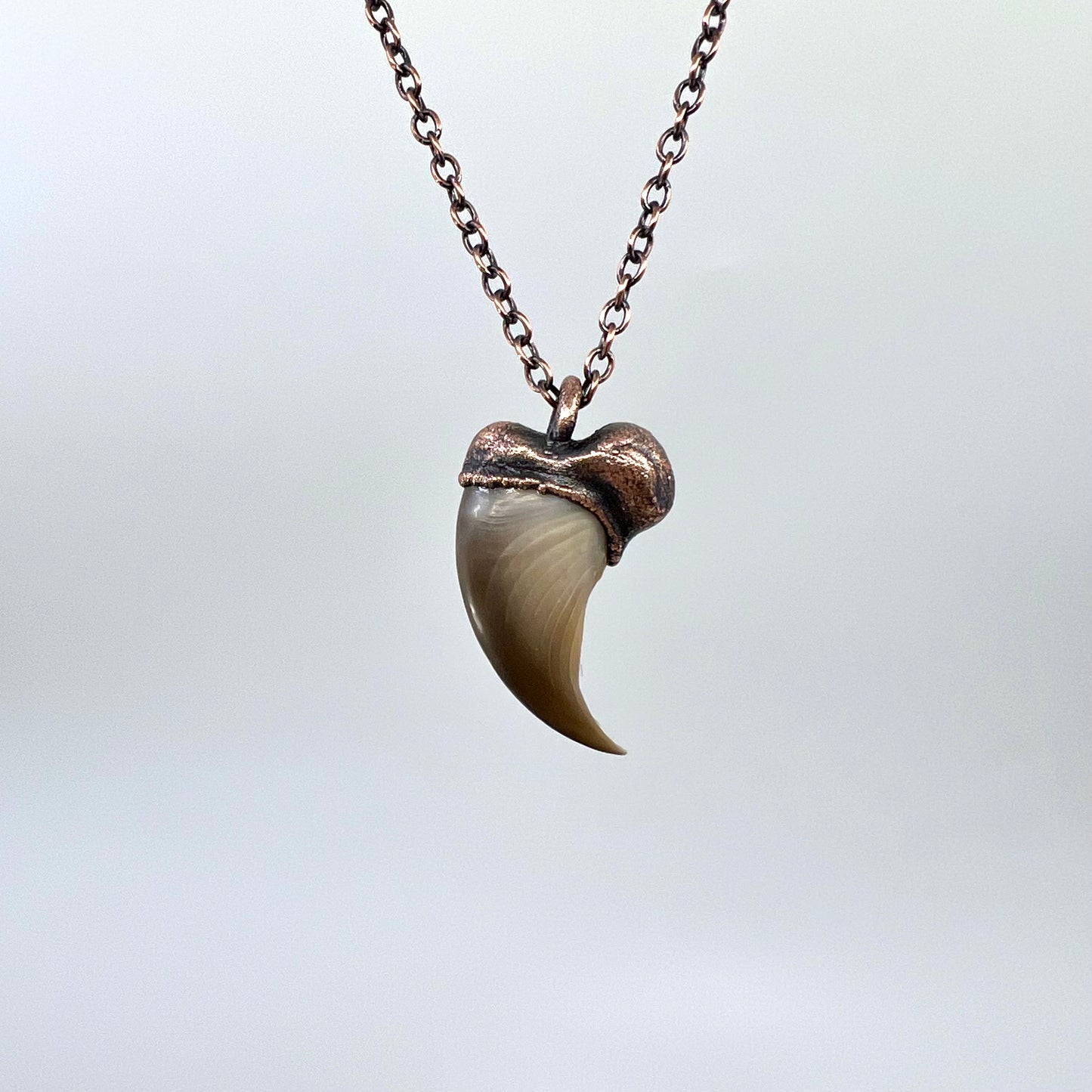 Black Bear Claw Necklace, Small Rear Claw - Copper Electroformed