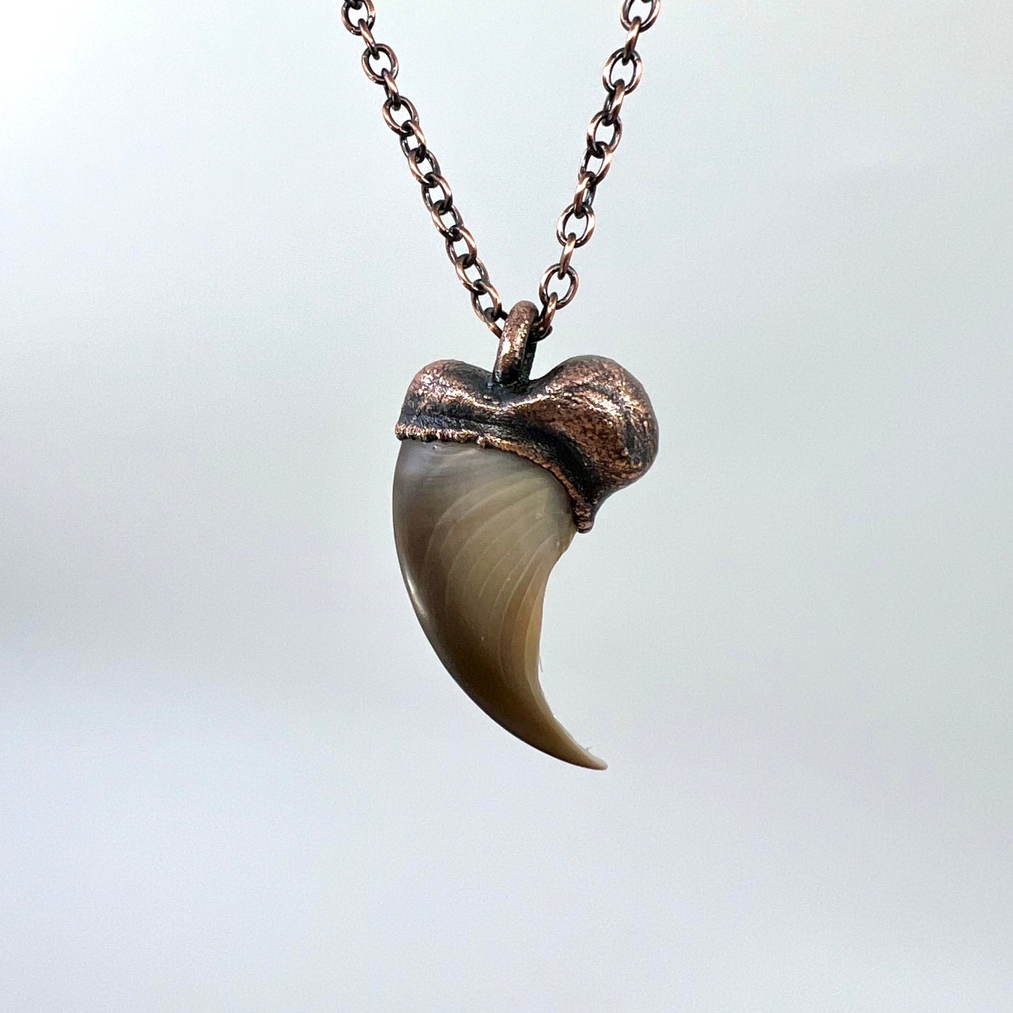 Black Bear Claw Necklace, Small Rear Claw - Copper Electroformed