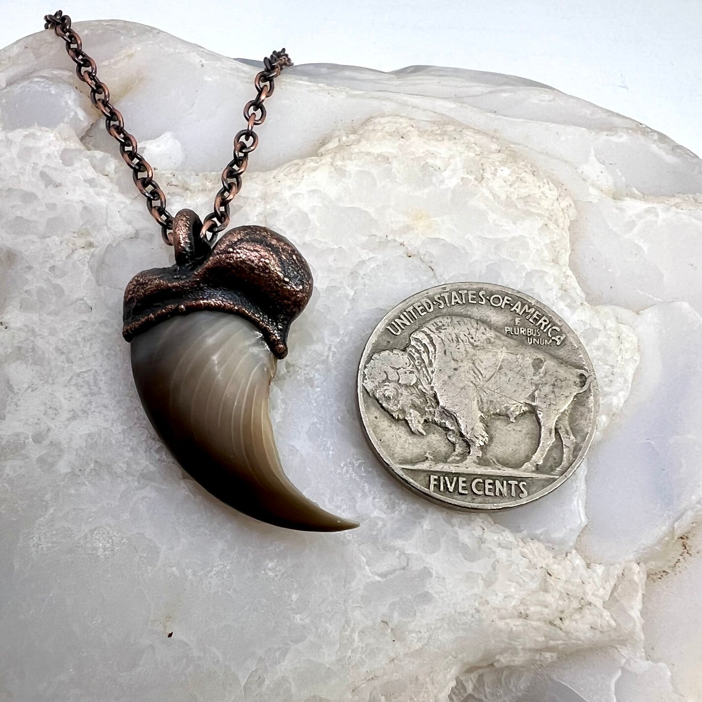 Black Bear Claw Necklace, Small Rear Claw - Copper Electroformed