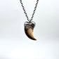 Black Bear Claw Necklace, Medium Rear Claw - Silver Electroformed