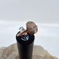 Size 7.5 Rhodochrosite Ring - Copper Electroformed