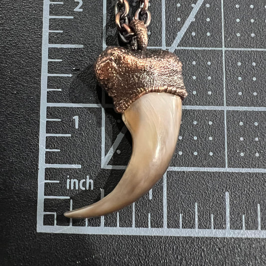 Black Bear Claw Necklace, Sm/Med Rear Claw - Copper Electroformed