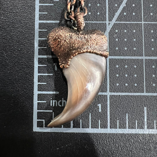 Black Bear Claw Necklace, Sm/Med Rear Claw - Copper Electroformed
