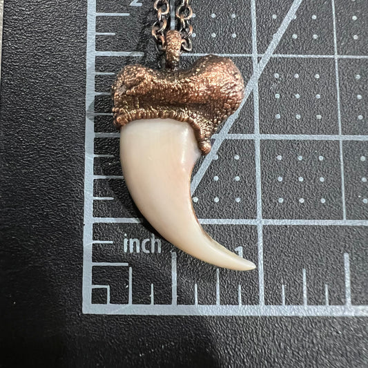 Black Bear Claw Necklace, Small Rear Claw - Copper Electroformed