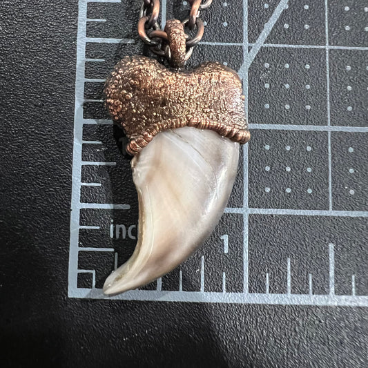Black Bear Claw Necklace, Medium Rear Claw - Copper Electroformed