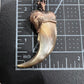 Black Bear Claw Necklace, Lg/XL Front Claw - Copper Electroformed