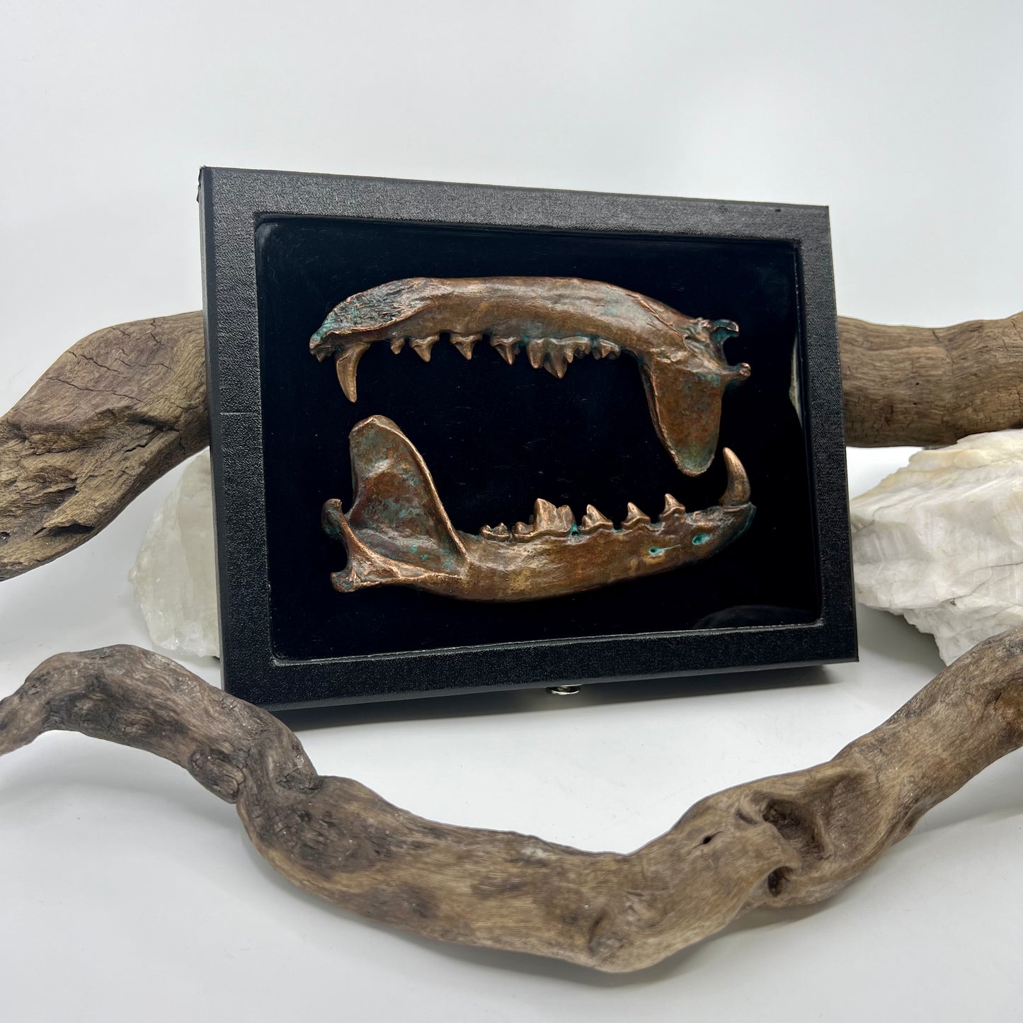 Large Mandible Set - Copper Electroformed