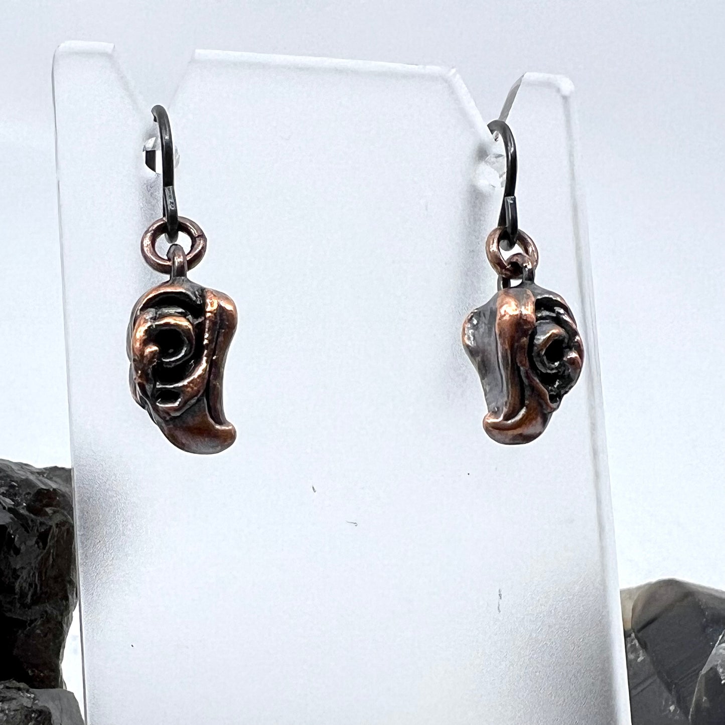 Bird Skull Replica Earrings - Copper Electroformed