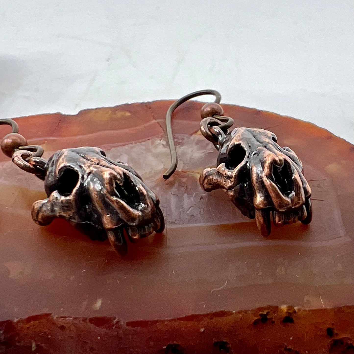 Bear Skull Replica Earrings - Copper Electroformed