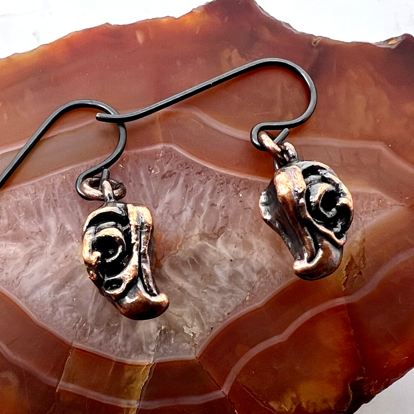 Bird Skull Replica Earrings - Copper Electroformed