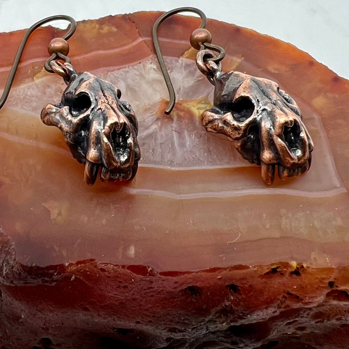 Bear Skull Replica Earrings - Copper Electroformed