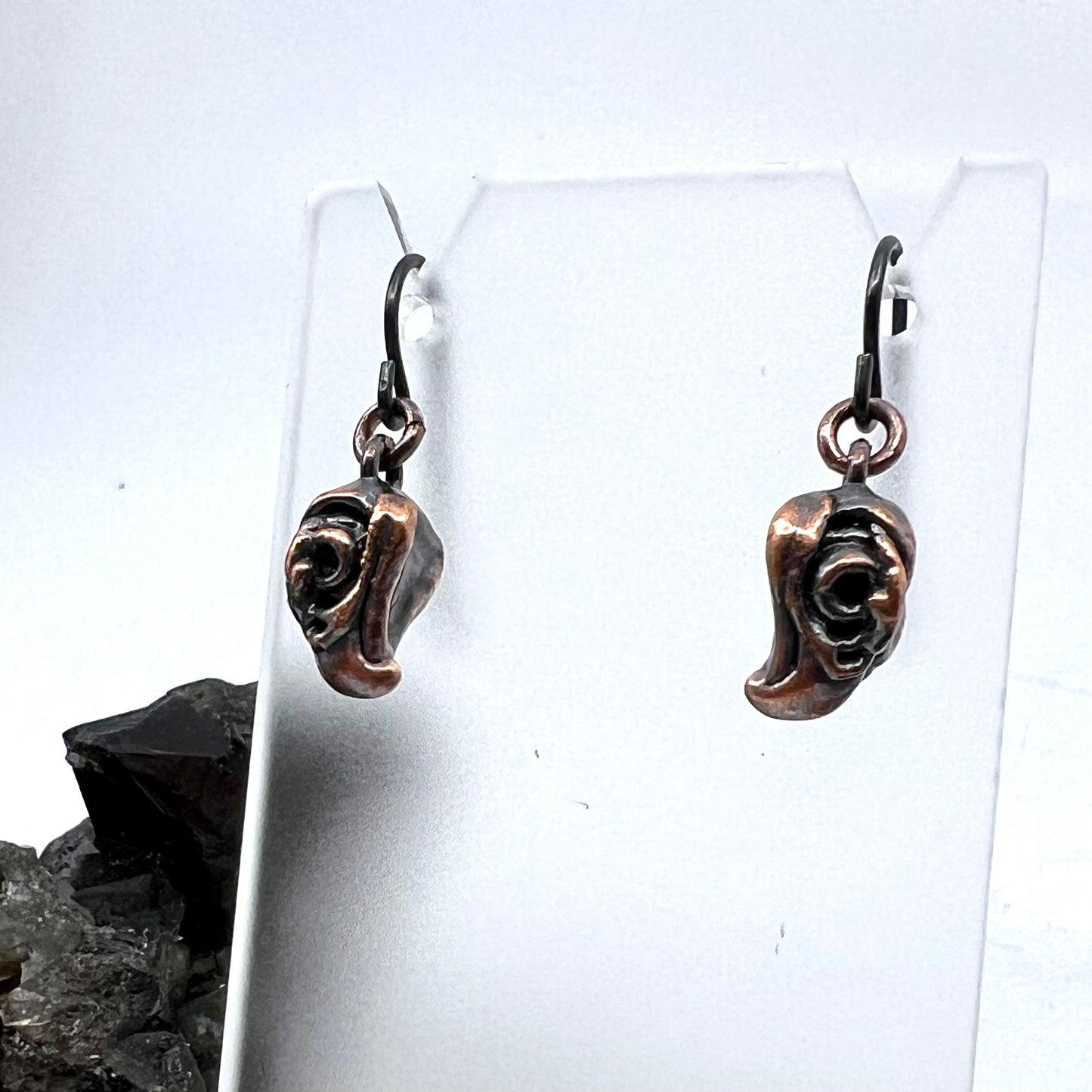 Bird Skull Replica Earrings - Copper Electroformed