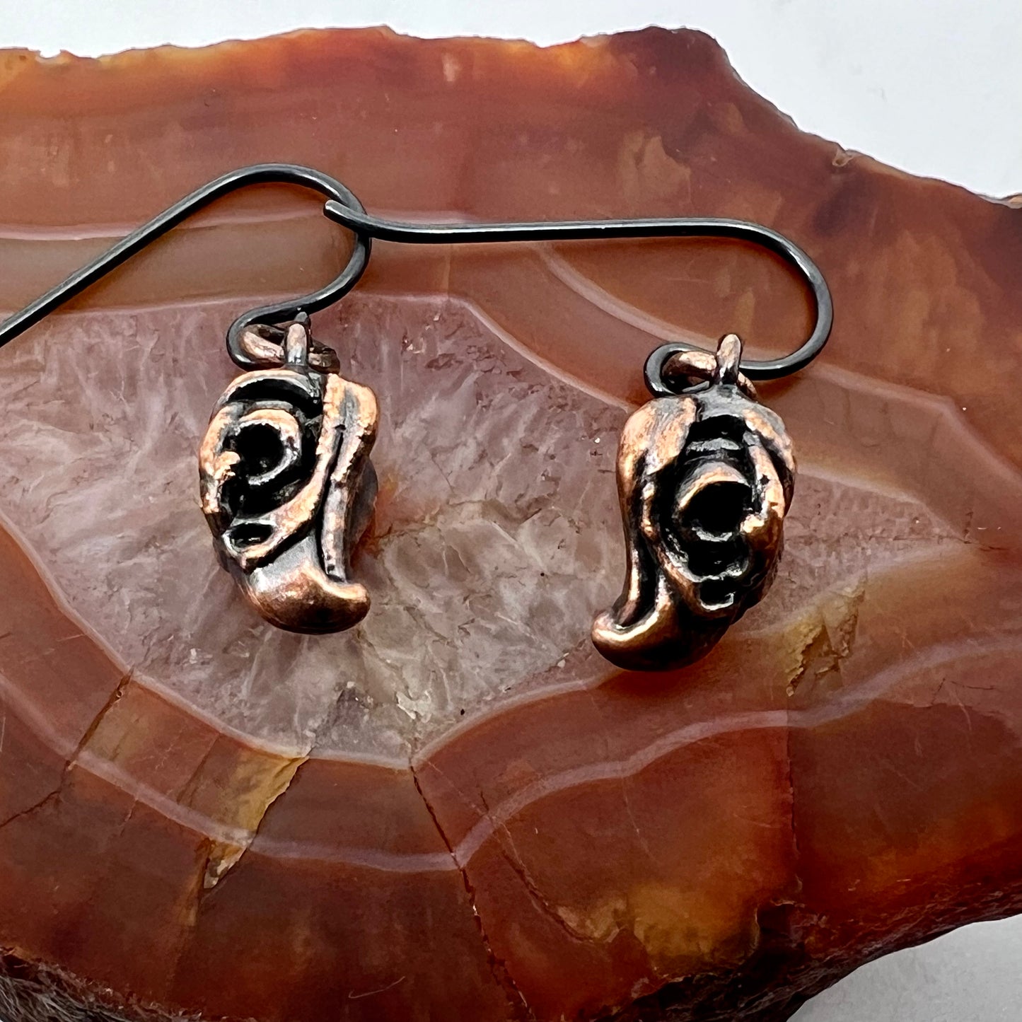 Bird Skull Replica Earrings - Copper Electroformed