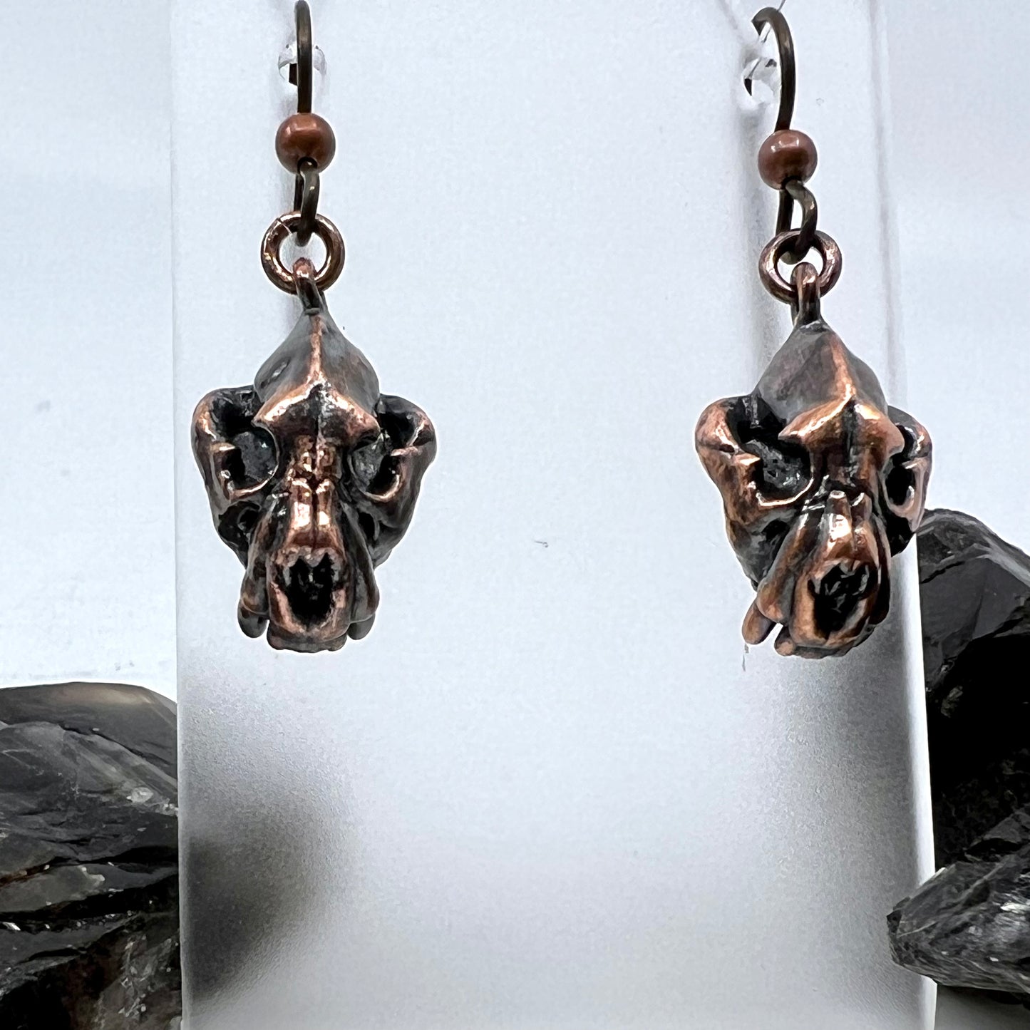 Bear Skull Replica Earrings - Copper Electroformed