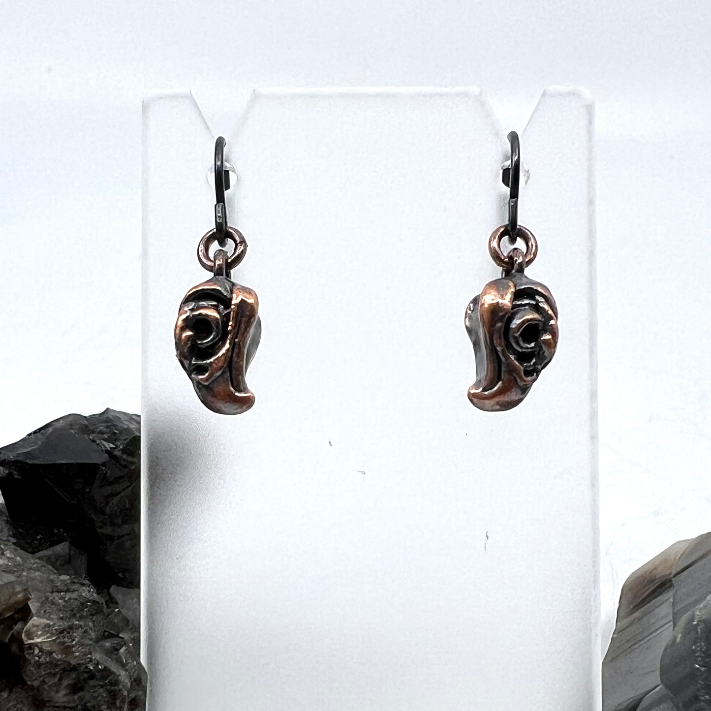 Bird Skull Replica Earrings - Copper Electroformed