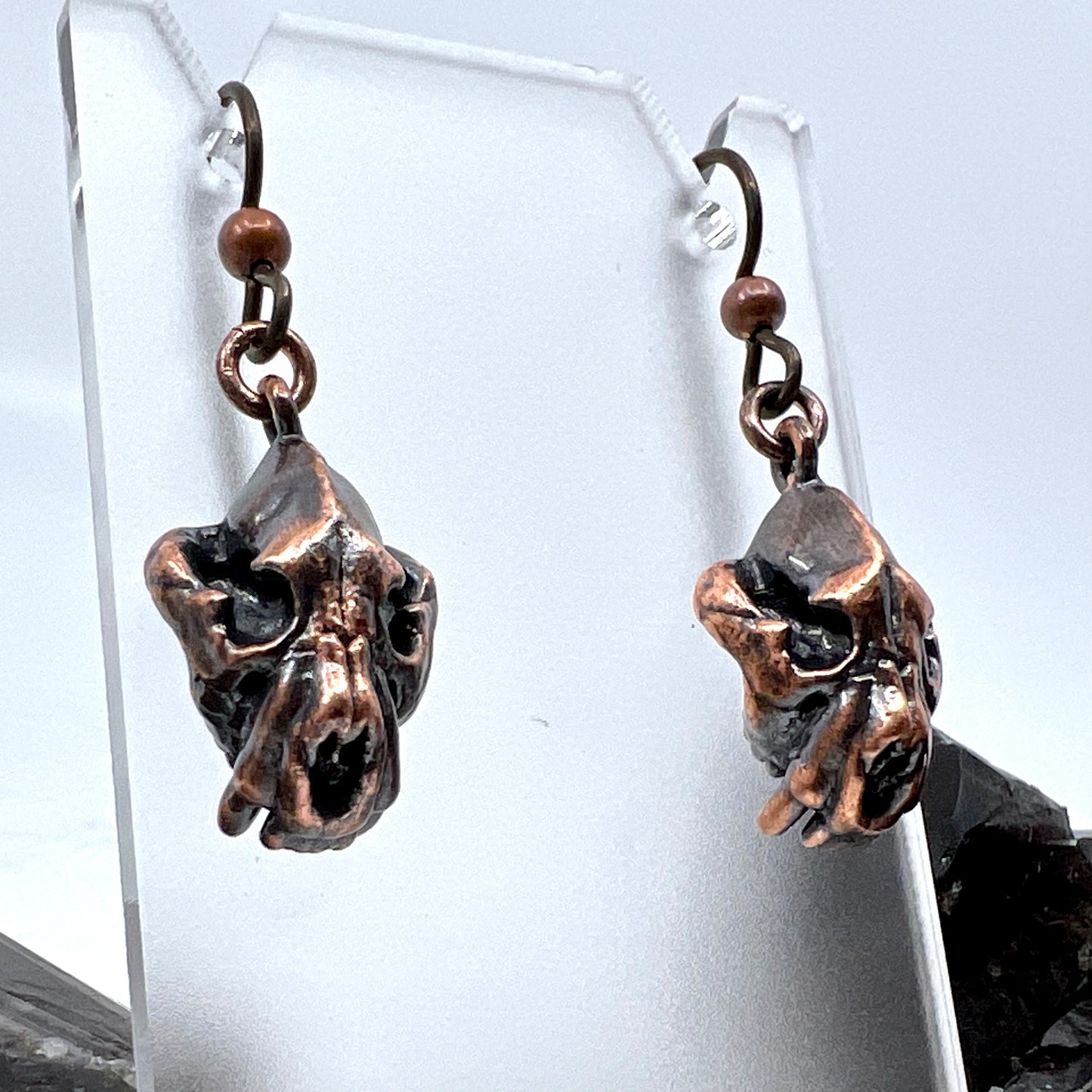 Bear Skull Replica Earrings - Copper Electroformed