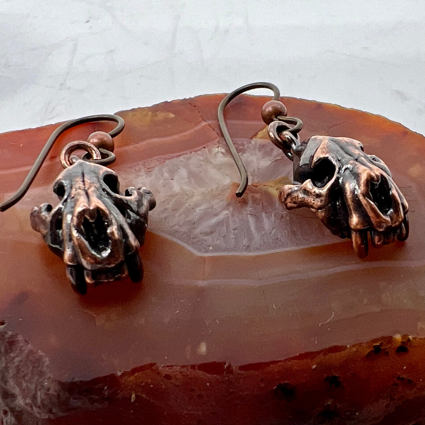 Bear Skull Replica Earrings - Copper Electroformed